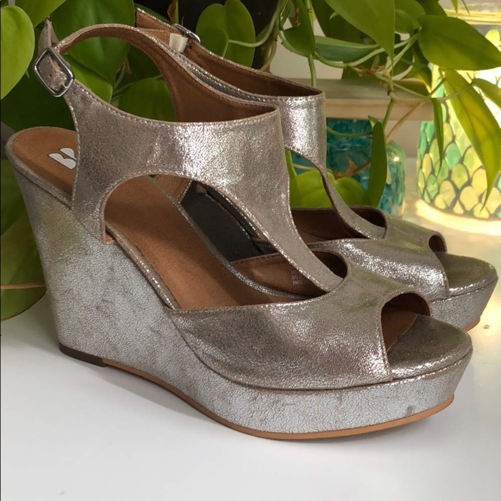 BP Silver Wedges